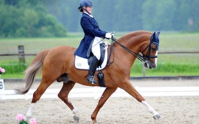 Dressurturnier Weilheim-Lichtenau, 09.06.2013